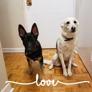 Meet your Posher, Tina